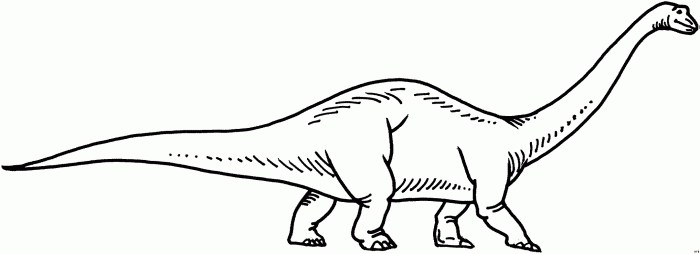 dinosaurier malvorlage ausmalen brachiosaurus steinzeit dinos tyrannosaurus ausmalbild stegosaurus frisch scoredatscore drachenbaby malen dinosauria